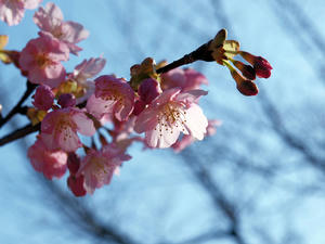 20100224_35shuusei.jpg