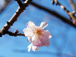 20100224_40shuusei.jpg