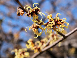 20100224_47shuusei.jpg