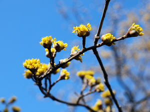 20100224_48shuusei.jpg