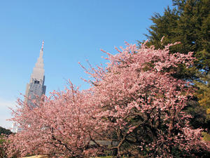 20100224_55shuusei.jpg