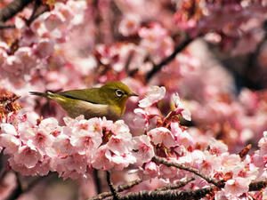 20100224_62shuusei.jpg