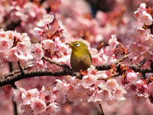 20100224_66shuusei.jpg