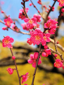 20100224_99shuusei.jpg