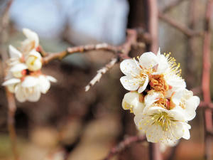 20100224_111shuusei.jpg