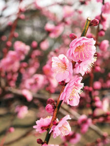 20100224_118shuusei.jpg