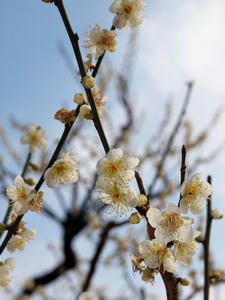 20100224_121shuusei.jpg