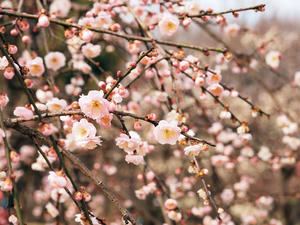 20100224_131shuusei.jpg