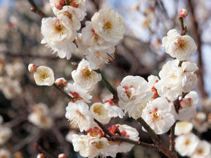 20100224_148shuusei.jpg