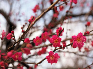 20100224_152shuusei.jpg