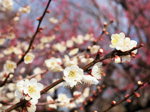 20100224_160shuusei.jpg