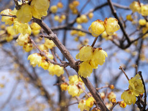 20100224_164shuusei.jpg