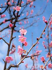 20100224_167shuusei.jpg