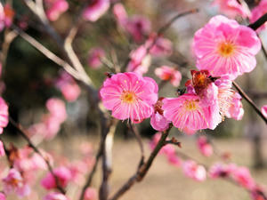 20100224_182shuusei.jpg