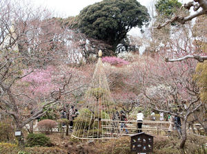 20100224_212shuusei.jpg