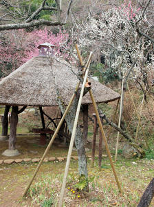 20100224_191shuusei.jpg