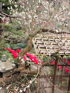 20100224_238shuusei.jpg