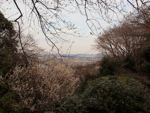 20100224_261shuusei.jpg