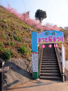 20100226_2shuusei.jpg