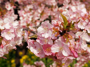20100226_9shuusei.jpg
