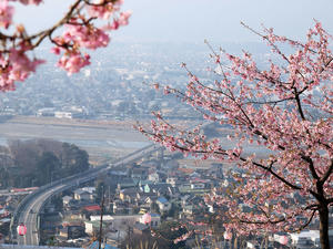 20100226_20shuusei.jpg