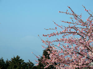 20100226_23shuusei.jpg