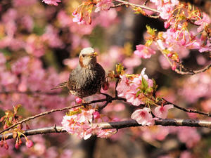 20100226_71shuusei.jpg