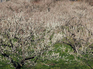 20100226_122shuusei.jpg