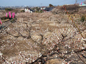20100226_127shuusei.jpg