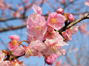 20100226_141shuusei.jpg