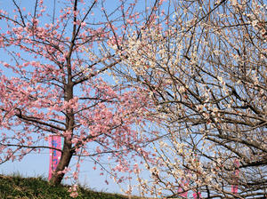20100226_148shuusei.jpg