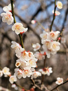 20100226_147shuusei.jpg