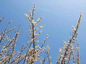 20100226_162shuusei.jpg
