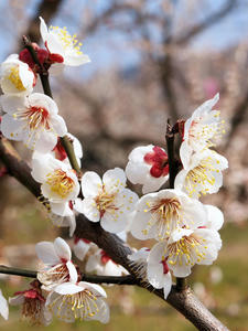 20100226_165shuusei.jpg