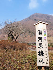 20100226_173shuusei.jpg