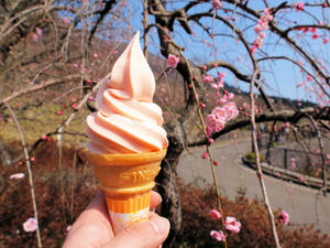 20100226_174shuusei.jpg