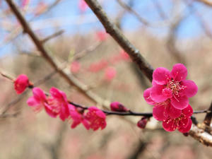 20100226_182shuusei.jpg