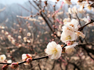 20100226_191shuusei.jpg
