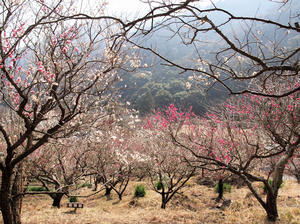 20100226_193shuusei.jpg