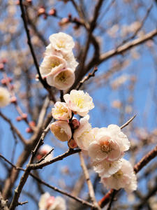 20100226_194shuusei.jpg