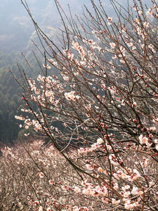 20100226_197shuusei.jpg