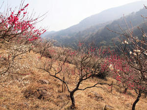 20100226_208shuusei.jpg