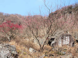20100226_214shuusei.jpg