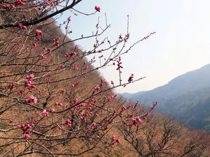 20100226_217shuusei.jpg