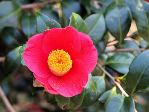 20100226_225shuusei.jpg