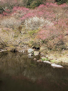 20100226_227shuusei.jpg