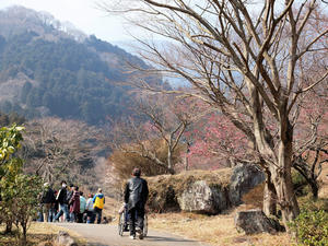 20100226_232shuusei.jpg