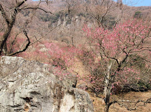 20100226_234shuusei.jpg