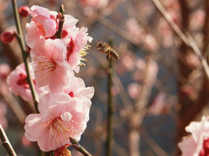 20100226_259shuusei.jpg