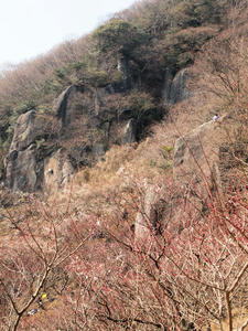 20100226_271shuusei.jpg